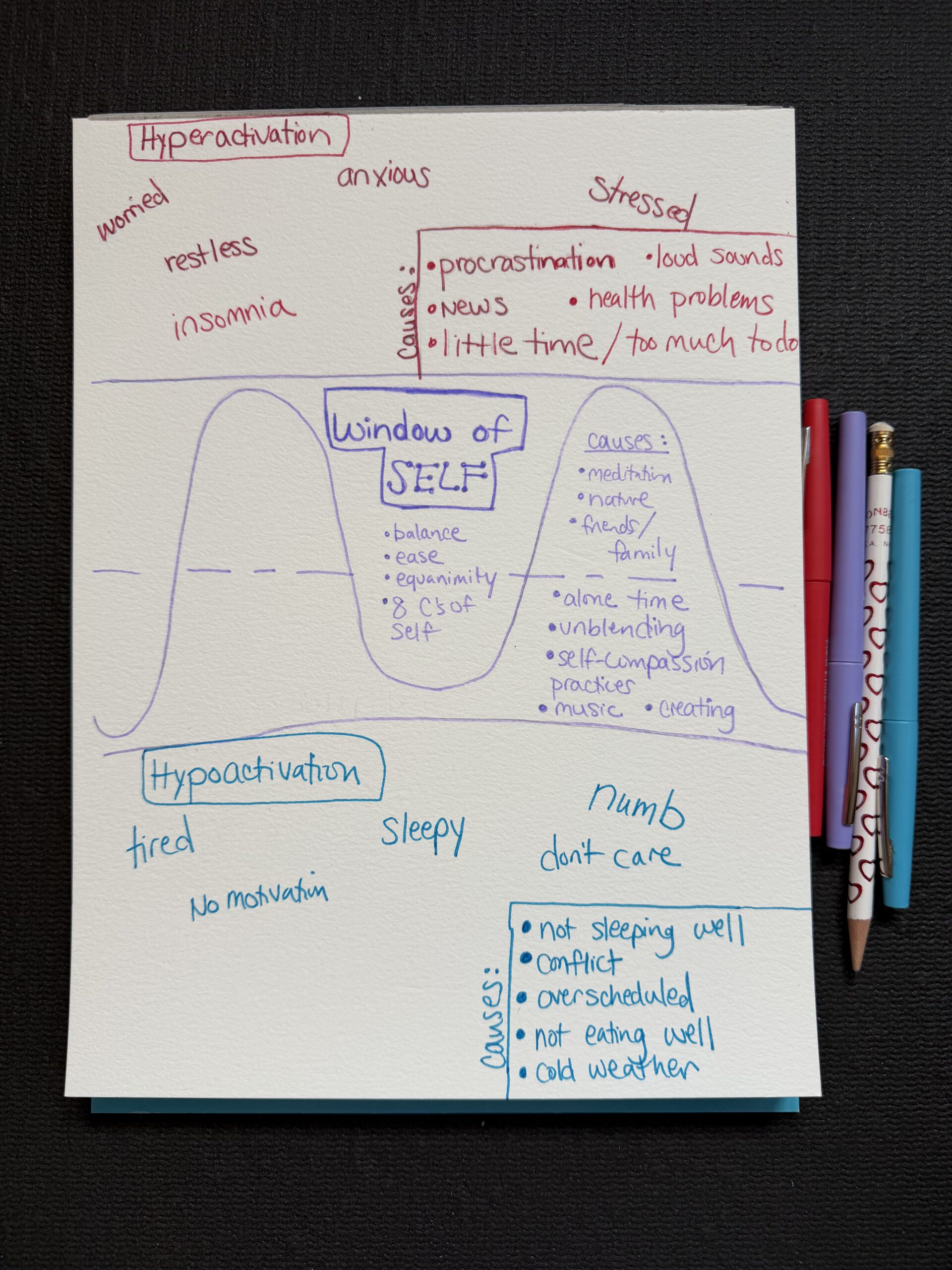 Hand-drawn Window of Self diagram showing nervous system regulation zones in somatic therapy